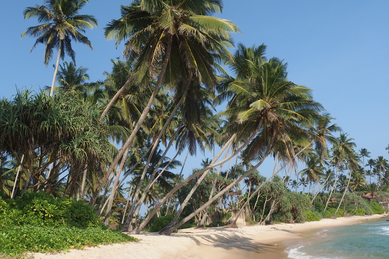 eVisa Sri Lanka aanvragen